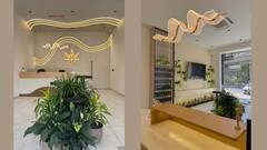 Cannabis In Ayurveda: How A Gujarat-Based Brand Is Reviving Centuries-Old Healing Techniques