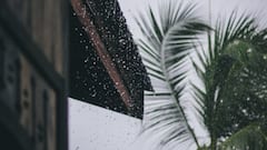 IMD Issues Red Alert As Heavy Rains Lash Karnataka; 2 Killed In Belagavi