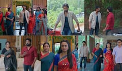 నువ్వుంటే నా జతగా సీరియల్: రాహుల్‌కి స్ట్రాంగ్‌ వార్నింగ్ ఇచ్చిన దేవా, మిథున.. మిథున దేవాని వదిలేస్తుందా!