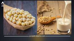 Health News: ਹਾਰਮੋਨ ਬੈਲੇਂਸ ਤੋਂ ਲੈ ਕੇ ਦਿਲ ਲਈ ਫਾਇਦੇਮੰਦ ਇਹ ਚੀਜ਼, ਔਰਤਾਂ ਜ਼ਰੂਰ ਕਰਨ ਸੇਵਨ