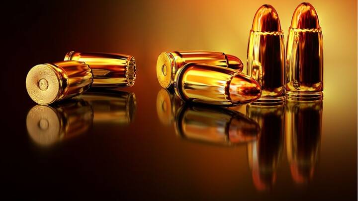 ২০১৮ সালে একটি রিপোর্ট প্রকাশ পেয়েছিল যার নাম ছিল স্মল আর্মস সার্ভে। ২০১৭ সাল পর্যন্ত সমীক্ষার তথ্য ছিল এই রিপোর্টে।