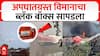 Ahmedabad Plane Crash black box : अपघातग्रस्त विमानाचा महत्वपूर्ण ब्लॅकबॉक्स सापडला, कारण येणार समोर