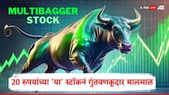 Multibagger Share: 20 रुपयांच्या 'या' शेअरनं 5 वर्षात 1450 टक्के रिटर्न , गुंतवणूकदार मालामाल
