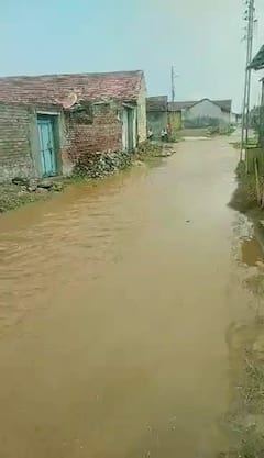 ખાંભા ગીર અને દાહોદ જિલ્લામાં ગાજવીજ અને વીજળીના કડાકા ભડાકા સાથે ધોધમાર વરસાદ, શેરીઓમાં વહેતા થયા પાણી