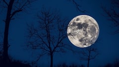 Moon Transit 2025: अखेर चंद्राची मकर राशीत एंट्री! ब्रम्ह मुहूर्तापासून 'या' 3 राशी राजासारखं जीवन जगणार, कुबेराचा खजिना उघडणार, आर्थिक संकट दूर होईल