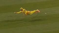 40 साल की उम्र में बाज की तरह उड़े फाफ डु प्लेसिस, पकड़ा अविश्वसनीय कैच; वीडियो देख हो जाएंगे हैरान