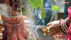 Ashadha Amavasya 2025: आषाढ़ अमावस्या पर दीपक में डालें ये खास चीज, कभी खाली नहीं होगी तिजोरी