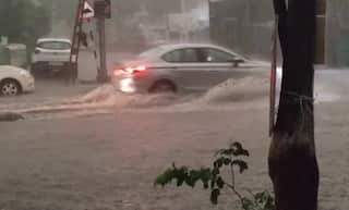 Gujarat Rain: સૌરાષ્ટ્ર અને મધ્ય ગુજરાતમાં વીજળીના કડાકા ભડાકા સાથે ધોધમાર વરસાદ તૂટી પડ્યો 