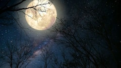 Moon Transit 2025: अखेर चंद्राची मकर राशीत एंट्री! ब्रम्ह मुहूर्तापासून 'या' 3 राशी राजासारखं जीवन जगणार, कुबेराचा खजिना उघडणार, आर्थिक संकट दूर होईल