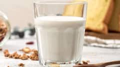 दही के साथ भूलकर भी नहीं खानी चाहिए ये चीजें, हो सकती हैं खतरनाक