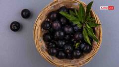 Diabetes Tips: गर्मियों के सीजन में मिलने वाला ये फल डायबिटीज है रामबाण इलाज