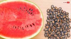 Watermelon Seeds: સ્વાસ્થ્યનો ખજાનો છે તરબૂચના બીજ, જાણો ક્યારે અને કેવી રીતે ખાવા?