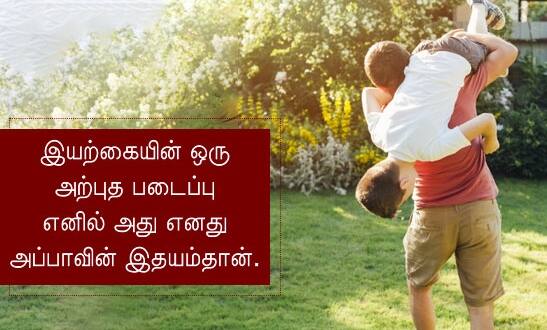 நீ விழுந்தும் என்னை தாங்கினாய் அப்பா...