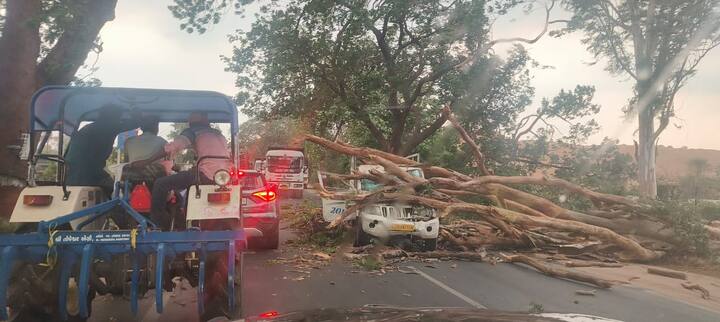 આ વરસાદ સાથે આવેલા વાવાઝોડાને (Storm) કારણે જિલ્લામાં ઠેર ઠેર વૃક્ષો ધરાશાયી (Trees Uprooted) થયા છે, જેના કારણે જનજીવન પ્રભાવિત થયું છે.