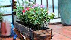 Father’s Day Gifting Ideas — 7 Unique Furniture And Decor Gifts For Your Dad