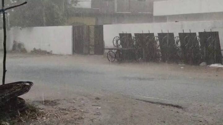 આ વરસાદના (Rain) પગલે નસવાડી (Naswadi) તાલુકાના (Taluka) ડુંગર વિસ્તારમાં (Hilly Area) આવેલા ઢાઢંણીયા કોતરમાં (Dhadhaniya Kotar) નવા નીર (New Water) આવ્યા છે, જે સૂચવે છે કે ભૂગર્ભજળ રિચાર્જ (Groundwater Recharge) થશે અને ખેડૂતોને (Farmers) સિંચાઈ (Irrigation) માટે મદદ મળશે.