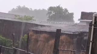 Amreli Rain: અમરેલીના બગસરા, ખાંભા અને બાબરામાં જોરદાર વરસાદ ખાબક્યો