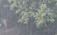 Gujarat Rain Forecast:રાજ્યના આ જિલ્લામાં ભારે વરસાદની આગાહી, સૌરાષ્ટ્ર સહિત આ વિસ્તારામાં ઓરેંજ એલર્ટ