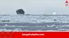 Black Iceberg: সাদা বা নীলাভ নয়, সাগরে ভাসছে কালো রংয়ের হিমশৈল? মৎস্যজীবীর তোলা ছবি ভাইরাল