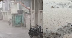 Gir Somnath Rain: કોડીનાર, સુત્રાપાડા અને તાલાલામાં વરસાદની ધમાકેદાર એન્ટ્રી 