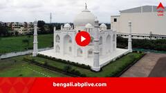 তাজমহলের আদলে তৈরি 4BHK, সৌধ নয়, স্ত্রীকে আশিয়ানা উপহার দিলেন স্বামী, অন্দরসজ্জা দেখে হতবাক সকলে