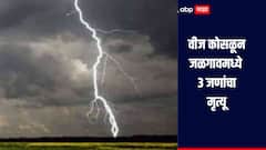 शेतात काम करताना कोसळली वीज, जळगावमध्ये 3 जणांचा जागीच मृत्यू, एकजण जखमी