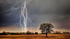 ਪੰਜਾਬ 'ਚ ਤੇਜ਼ ਤੂਫਾਨ ਅਤੇ ਮੀਂਹ ਦੌਰਾਨ ਬਿਜਲੀ ਡਿੱਗਣ ਕਾਰਨ ਇੱਕ ਕਿਸਾਨ ਦੀ ਮੌਤ, ਖੇਤ 'ਚ ਚਲਾ ਰਿਹਾ ਸੀ ਟਰੈਕਟਰ, ਅਚਾਨਕ...