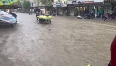 ચોમાસા અને ભારે વરસાદને લઈને પરેશ ગોસ્વામીની મોટી આગાહી, આ તારીખથી ગાજવીજ સાથે વરસાદ તૂટી પડશે