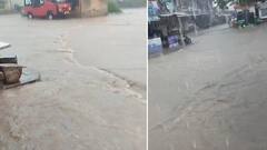 Bhavnagar Rain: ભાવનગરના જેસરમાં આભ ફાટ્યું,  9 ઈંચ વરસાદ ખાબક્યો, જુઓ તસવીરો