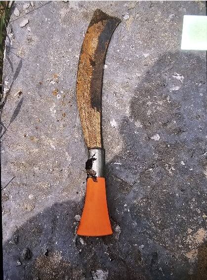 राजा रघुवंशी की हत्या में शामिल हथियार बरामद, आरोपी विशाल ने किया था पहला वार