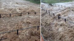 Bhavnagar Rain: ભાવનગર જિલ્લામાં મેઘરાજાની ધમાકેદાર બેટિંગ, અનેક નદીઓ બે કાંઠે