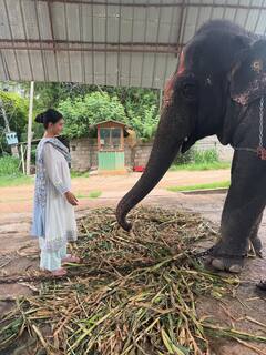 श्री श्री रविशंकर के आश्रम पहुंचीं जैकलीन, गाय को दुलारती दिखीं एक्ट्रेस, शेयर कीं और भी कई खूबसूरत तस्वीरें