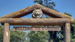 पर्यटकों के लिए क्यों बंद हो गया दुधवा राष्ट्रीय उद्यान? आखिरी जत्थे की विदाई के बाद लगे गेट पर ताले