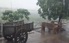 અમરેલીમાં ધોધમાર વરસાદ, થોરાડી નદી પરનો ચેકડેમ ઓવરફ્લો, પિતા પુત્ર તણાયા, એકનું મૃત્યુ