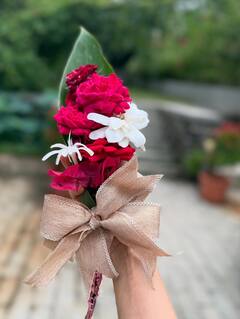 Sharvari Celebrates 28th Birthday With Intimate Bash, Shares Adorable Moments