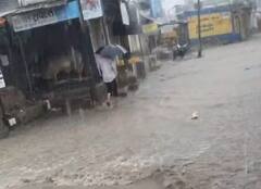 Bhavnagar Rain: ભાવનગરના જેસરમાં આભ ફાટ્યું,  9 ઈંચ વરસાદ ખાબક્યો, જુઓ તસવીરો