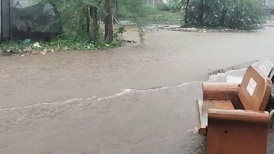 saurashtra rain update 7 inches in jessar one dies in amreli after father son clash સૌરાષ્ટ્રમાં મેઘતાંડવ: ભાવનગરના જેસરમાં 4 કલાકમાં 7 ઇંચ વરસાદથી જળબંબાકાર, અમરેલીમાં પિતા પુત્ર તણાતા એકનું મોત