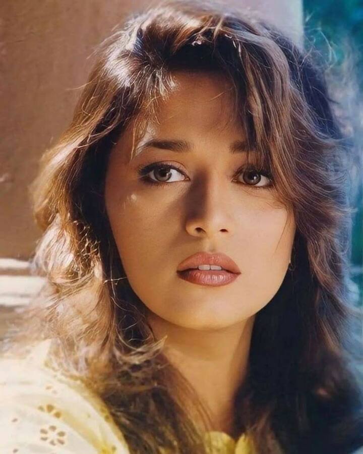 संजय लीला भंसाली की पहली पसंद कोई और नहीं बल्कि धक–धक गर्ल माधुरी दीक्षित थी. फिल्ममेकर नंदिनी के किरदार के लिए माधुरी दीक्षित को चुना था.