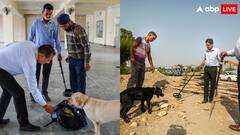 युद्धस्तर पर हो रही है अमरनाथ यात्रा की तैयारी, जम्मू में यात्रियों के लिए ऐसे हैं इंतजाम