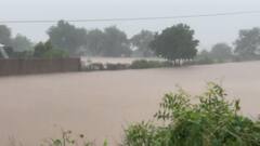 Amreli Rain: અમરેલી જિલ્લામાં વરસાદે ભુક્કા બોલાવ્યા, સાવરકુંડલાની નદીઓમાં આવ્યું પૂર