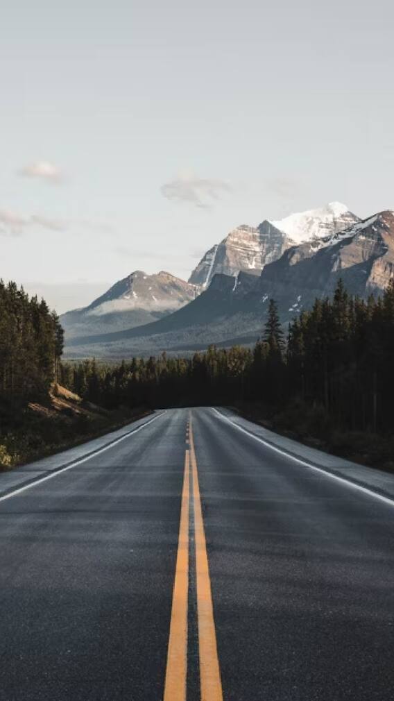 रस्त्यावरच्या दोन पिवळ्या रेषांचा अर्थ काय?