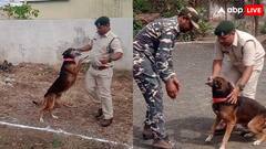 एमपी: रानी दुर्गावती टाइगर रिजर्व का पहरेदार खोजी कुत्ता, 51 केस हल कर चुका है गैलीलियो