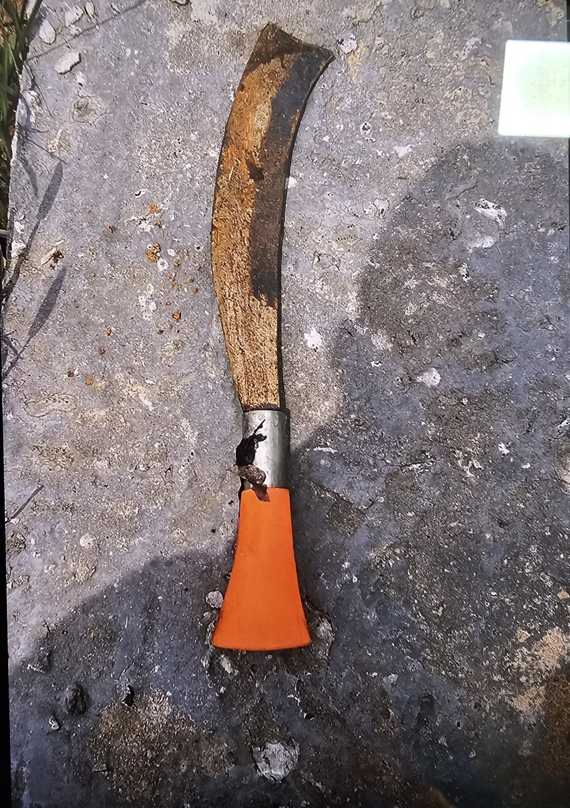 Meghalaya Murder Case: First Picture Of Weapon Used To Kill Raja Raghuvanshi Surfaces