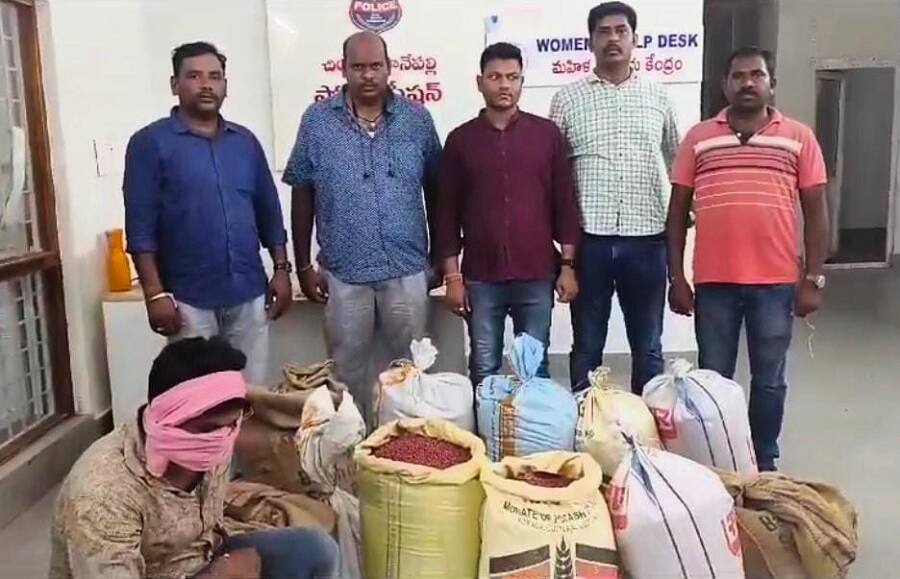 Asifabad News: ఆసిఫాబాద్ జిల్లాలో భారీగా నకిలీ విత్తనాలు పట్టివేత, 2 నెలల్లో కోటి రూపాయల విత్తనాలు స్వాధీనం