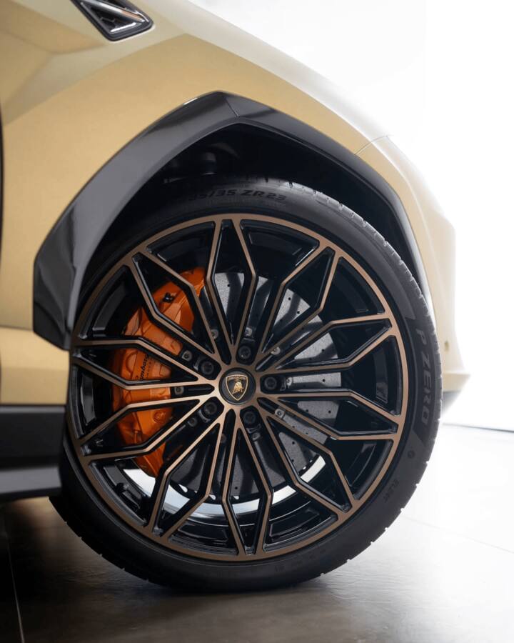 Ram will next appear in the detective show Mistry, premiering June 27 on JioHotstar, alongside Mona Singh and Shikha Talsania. (All Images: Instagram/carcrazy.india)