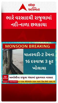 Amreli Rains: અમરેલીના રાજુલા તાલુકામાં તોફાની વરસાદથી જળબંબાકાર