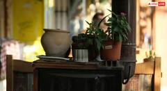 ਗਰਮੀ ਤੋਂ ਰਾਹਤ! ਬਿਨਾਂ AC ਤੋਂ ਘਰ ਨੂੰ ਠੰਡਾ ਰੱਖਣ ਦੇ ਸੌਖੇ ਤਰੀਕੇ, ਅਜ਼ਮਾਓ ਤੇ ਬਚਾਓ ਪੈਸੇ!