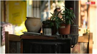 गर्मी में घर को ठंड रखने के लिए अपनाएं ये प्राकृतिक तरीके, एसी-कूलर की भी नहीं पड़ेगी जरूरत