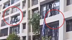 ਅਹਿਮਦਾਬਾਦ ਜਹਾਜ਼ ਹਾਦਸੇ ਦੀ ਇੱਕ ਹੋਰ ਭਿਆਨਕ ਵੀਡੀਓ ਵਾਇਰਲ, ਛਾਲ ਮਾਰਦੇ ਨਜ਼ਰ ਆ ਰਹੇ ਵਿਦਿਆਰਥੀ, ਦੇਖੋ