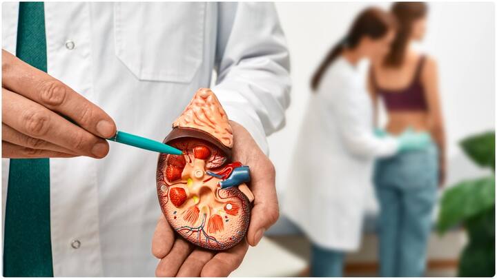 బ్లడ్ షుగర్, బీపీ కిడ్నీలను ఎక్కువగా డ్యామేజ్ చేస్తాయి. కాబట్టి రెగ్యులర్గా చెకప్స్ చేయింటుకోవాలి. వైద్యులు సూచించిన మెడిసన్స్ తీసుకోవాలి.